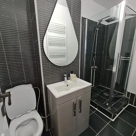 Apartment Romanescu One
