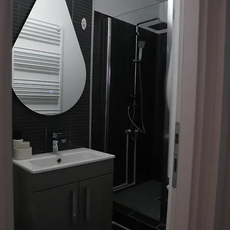 Apartment Romanescu One Craiova